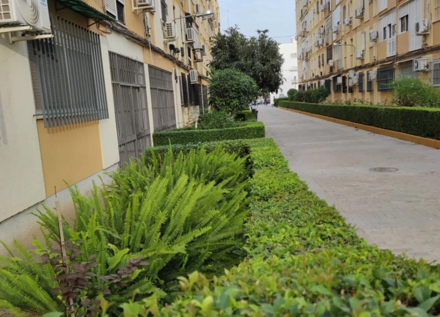 Apartment Apartamento Celia Seville